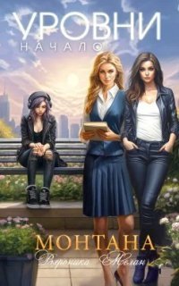обложка аудиокниги Город. Монтана. Уровни. Начало