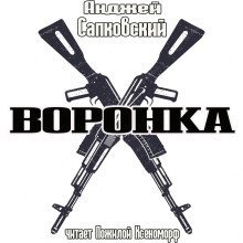 обложка аудиокниги Воронка