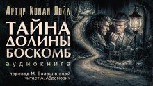 обложка аудиокниги Тайна долины Боскомб