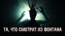обложка аудиокниги Та, что смотрит из фонтана