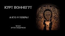 обложка аудиокниги А кто я теперь?