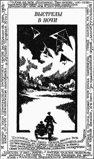 обложка аудиокниги Выстрелы в ночи