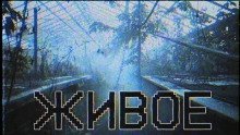 обложка аудиокниги Живое