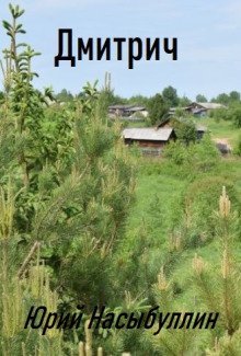 обложка аудиокниги Дмитрич