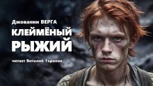 обложка аудиокниги Клейменый рыжий
