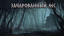 обложка аудиокниги Зачарованный лес