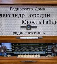 обложка аудиокниги Юность Гайдна