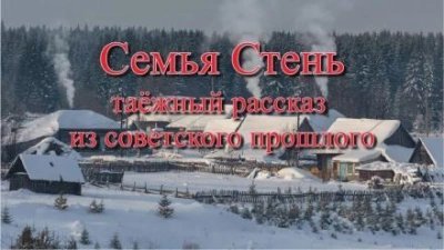 обложка аудиокниги Семья Стень