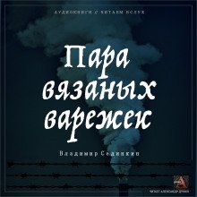 обложка аудиокниги Пара вязаных варежек