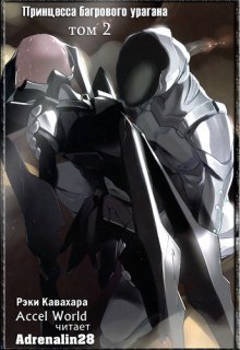 обложка аудиокниги Принцесса багрового урагана