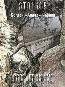 обложка аудиокниги S.T.A.L.K.E.R. Своё решение