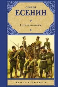 обложка аудиокниги Страна негодяев