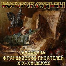 обложка аудиокниги Рассказы французских писателей