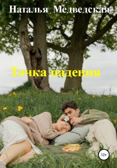 обложка аудиокниги Точка падения