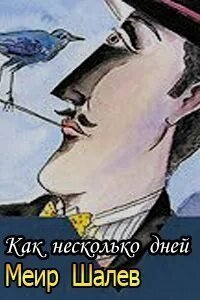 обложка аудиокниги Как несколько дней...