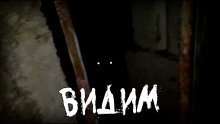 обложка аудиокниги ВИДИМ