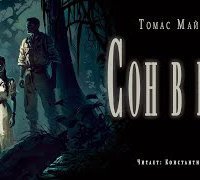 обложка аудиокниги Сон в руку