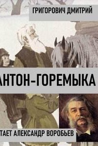 обложка аудиокниги Антон
