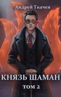 обложка аудиокниги Князь шаман. Книга 2