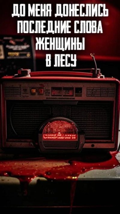 обложка аудиокниги До меня донеслись последние слова женщины в лесу