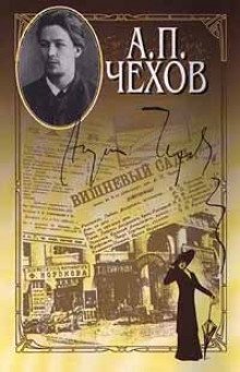 обложка аудиокниги И то и сё, или Встреча весны