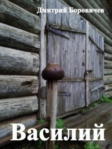 обложка аудиокниги Василий
