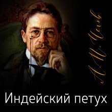 обложка аудиокниги Индейский петух