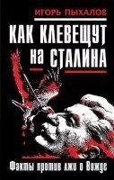обложка аудиокниги Как клевещут на Сталина. Факты против лжи о Вожде