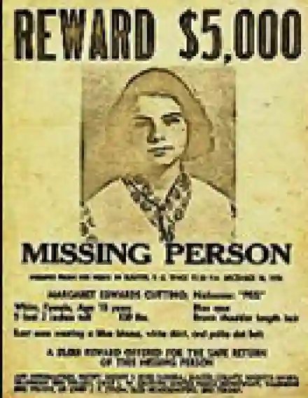 обложка аудиокниги История гадкого утёнка