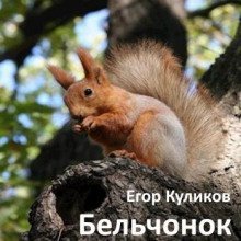 обложка аудиокниги Бельчонок