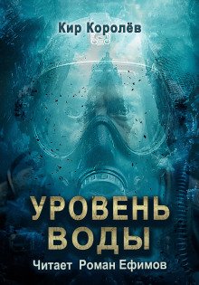 обложка аудиокниги Уровень воды