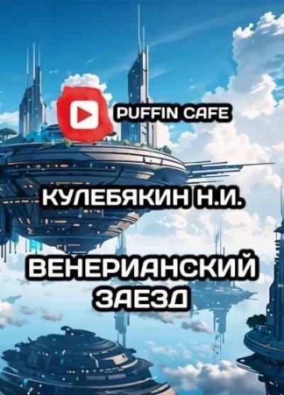 обложка аудиокниги Венерианский заезд