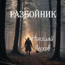 обложка аудиокниги Разбойник