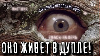 обложка аудиокниги Никогда не кричи в лесу!