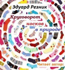 обложка аудиокниги Круговорот носков в природе