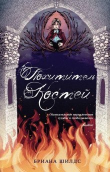 обложка аудиокниги Похититель костей