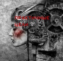 обложка аудиокниги Практичные цели