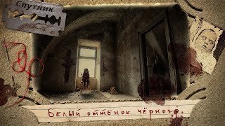 обложка аудиокниги Белый оттенок черного