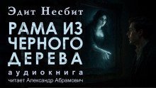 обложка аудиокниги Рама из чёрного дерева