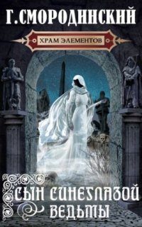 обложка аудиокниги Храм Элементов 1. Сын синеглазой ведьмы