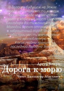 обложка аудиокниги Дорога к морю