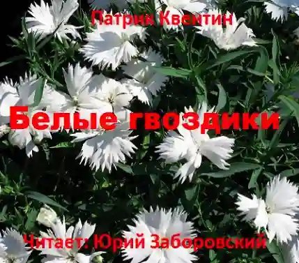 обложка аудиокниги Белые гвоздики