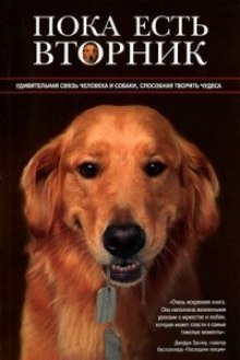 обложка аудиокниги Пока есть Вторник