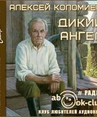 обложка аудиокниги Дикий Ангел