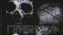 обложка аудиокниги Грибница