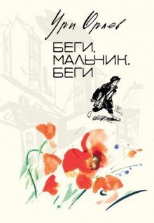 обложка аудиокниги Беги, мальчик, беги