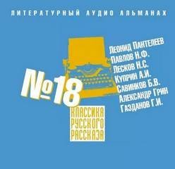 обложка аудиокниги Классика русского рассказа. Выпуск 18