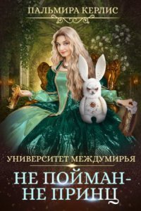 обложка аудиокниги Университет Междумирья 5. Не пойман – не принц