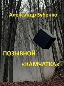 обложка аудиокниги Позывной «Камчатка»