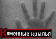 обложка аудиокниги Каменные крылья